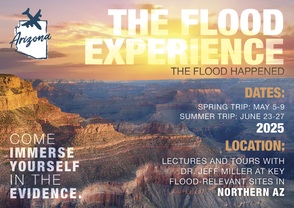 The Flood Experience – Flooded Book